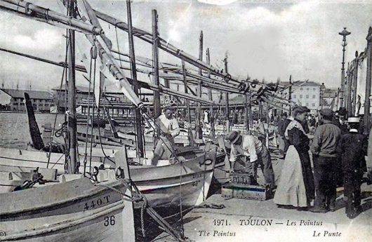 Les pointus sont des barques de pêche traditionnelles de la mer Méditerranée.
